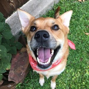 Meet your Posher, Ashlyn